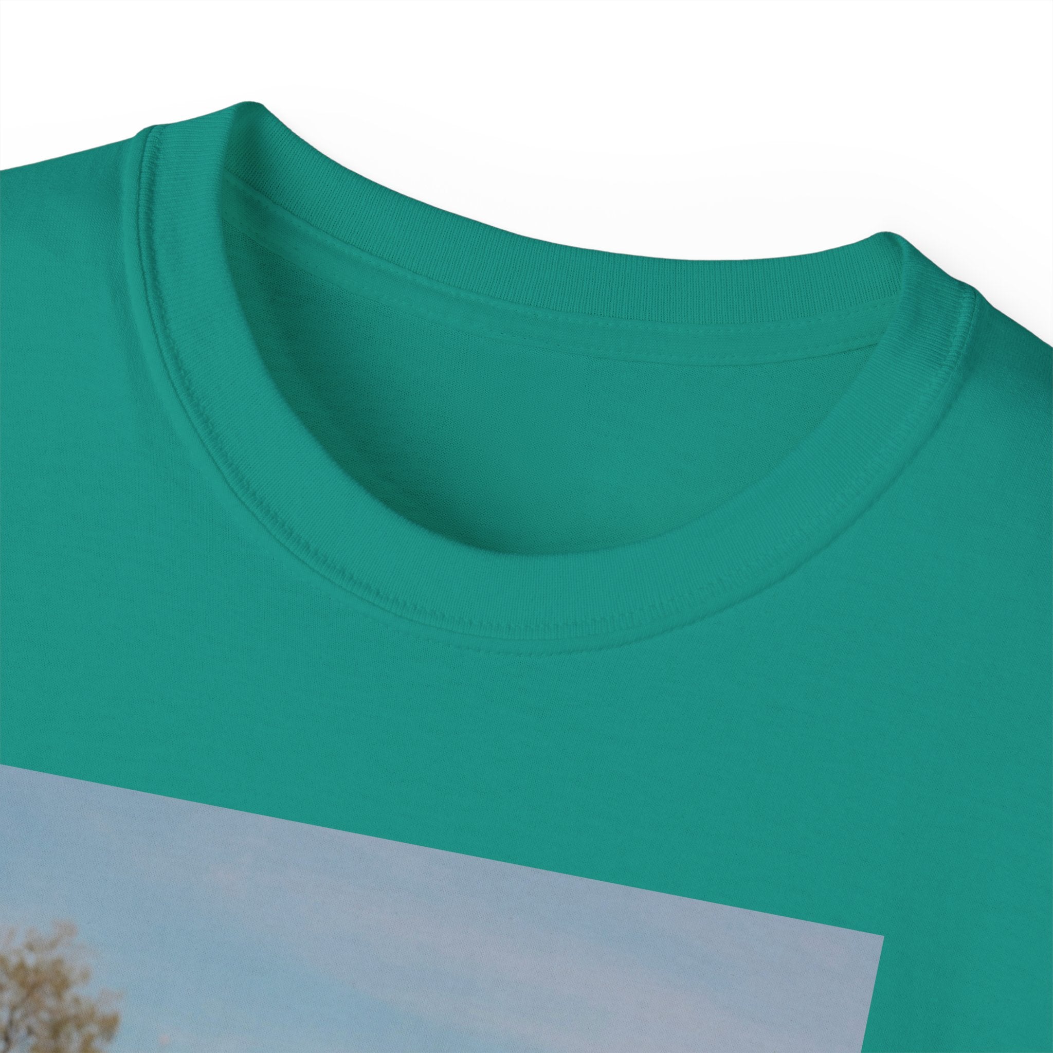Unisex Ultra Cotton Tee